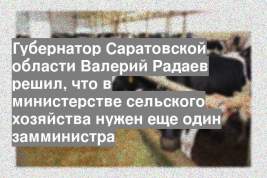 Губернатор Саратовской области Валерий Радаев решил, что в министерстве сельского хозяйства нужен еще один замминистра