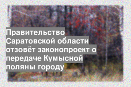 Правительство Саратовской области отзовёт законопроект о передаче Кумысной поляны городу