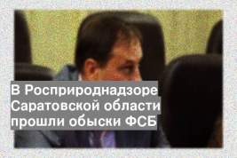 В Росприроднадзоре Саратовской области прошли обыски ФСБ