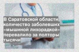 В Саратовской области количество заболевших «мышиной лихорадкой» перевалило за полторы тысячи