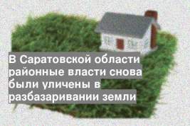 В Саратовской области районные власти снова были уличены в разбазаривании земли