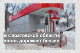 В Саратовской области вновь дорожает бензин
