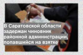 В Саратовской области задержан чиновник районной администрации, попавшийся на взятке