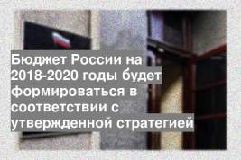 Бюджет России на 2018-2020 годы будет формироваться в соответствии с утвержденной стратегией