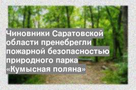 Чиновники Саратовской области пренебрегли пожарной безопасностью природного парка «Кумысная поляна»