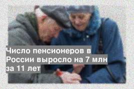 Число пенсионеров в России выросло на 7 млн за 11 лет
