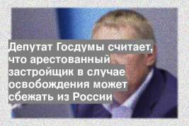 Депутат Госдумы считает, что арестованный застройщик в случае освобождения может сбежать из России