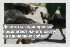 Депутаты-«единоросы» предлагают начать охоту на одичавших собак