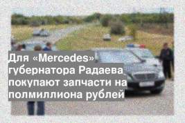 Для «Mercedes» губернатора Радаева покупают запчасти на полмиллиона рублей