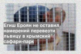 Егиш Ероян не оставил намерений перевезти львицу в крымский сафари-парк