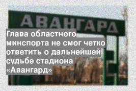 Глава областного минспорта не смог четко ответить о дальнейшей судьбе стадиона «Авангард»