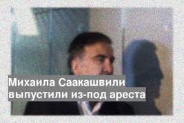 Михаила Саакашвили выпустили из-под ареста