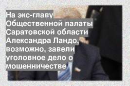 На экс-главу Общественной палаты Саратовской области Александра Ландо, возможно, завели уголовное дело о мошенничестве