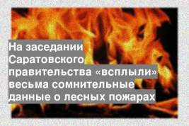 На заседании Саратовского правительства «всплыли» весьма сомнительные данные о лесных пожарах