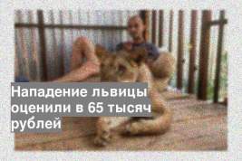 Нападение львицы оценили в 65 тысяч рублей