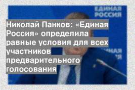 Николай Панков: «Единая Россия» определила равные условия для всех участников предварительного голосования