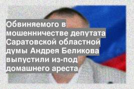 Обвиняемого в мошенничестве депутата Саратовской областной думы Андрея Беликова выпустили из-под домашнего ареста
