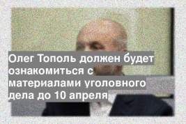 Олег Тополь должен будет ознакомиться с материалами уголовного дела до 10 апреля