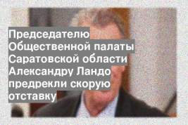 Председателю Общественной палаты Саратовской области Александру Ландо предрекли скорую отставку