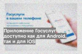 Приложение Госуслуг доступно как для Android, так и для iOS