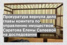 Прокуратура вернула дело главы комитета по управлению имуществом Саратова Елены Салеевой на доследование