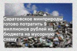 Саратовское минприроды готово потратить 9 миллионов рублей из бюджета на мусорную схему