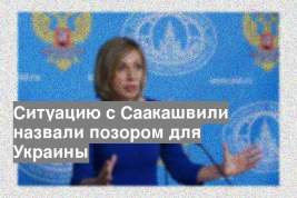 Ситуацию с Саакашвили назвали позором для Украины