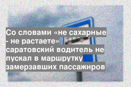 Со словами «не сахарные - не растаете» саратовский водитель не пускал в маршрутку замерзавших пассажиров