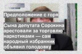 Сына депутата Сорокина арестовали за торговлю наркотиками — сам народный избранник объявил голодовку