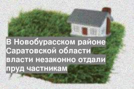 В Новобурасском районе Саратовской области власти незаконно отдали пруд частникам