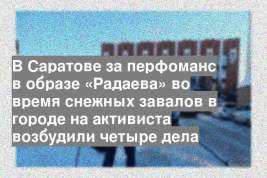 В Саратове за перфоманс в образе «Радаева» во время снежных завалов в городе на активиста возбудили четыре дела