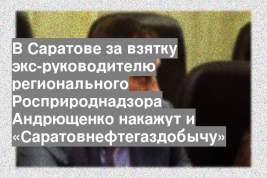 В Саратове за взятку экс-руководителю регионального Росприроднадзора Андрющенко накажут и «Саратовнефтегаздобычу»