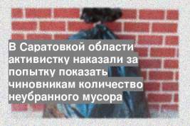 В Саратовкой области активистку наказали за попытку показать чиновникам количество неубранного мусора