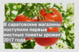 В саратовские магазины поступили первые местные томаты урожая 2017 года