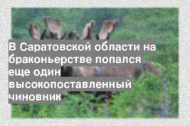 В Саратовской области на браконьерстве попался еще один высокопоставленный чиновник
