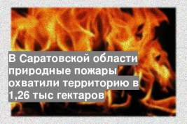 В Саратовской области природные пожары охватили территорию в 1,26 тыс гектаров