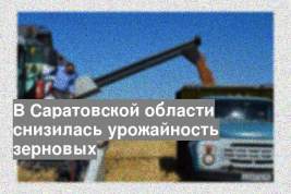 В Саратовской области снизилась урожайность зерновых