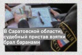 В Саратовской области судебный пристав взятки брал баранами