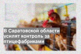 В Саратовской области усилят контроль за птицефабриками