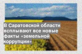 В Саратовской области всплывают все новые факты «земельной коррупции»