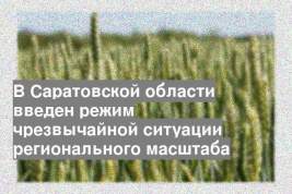 В Саратовской области введен режим чрезвычайной ситуации регионального масштаба