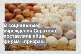 В социальные учреждения Саратова поставляла яйца фирма-«призрак»