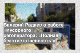Валерий Радаев о работе «мусорного» регоператора: «Полная безответственность!»