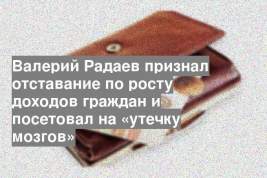 Валерий Радаев признал отставание по росту доходов граждан и посетовал на «утечку мозгов»