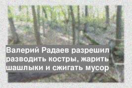 Валерий Радаев разрешил разводить костры, жарить шашлыки и сжигать мусор