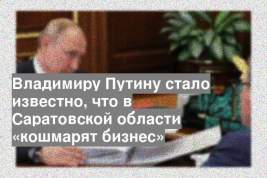 Владимиру Путину стало известно, что в Саратовской области «кошмарят бизнес»