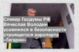 Спикер Госдумы РФ Вячеслав Володин усомнился в безопасности строящегося аэропорта «Гагарин»