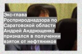 Экс-глава Росприроднадзора по Саратовской области Андрей Андрющенко признался в получении взяток от нефтяников