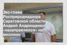 Экс-глава Росприроднадзора Саратовской области Андрей Андрющенко «назаправлялся» на миллион