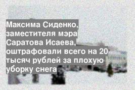 Максима Сиденко, заместителя мэра Саратова Исаева, оштрафовали всего на 20 тысяч рублей за плохую уборку снега